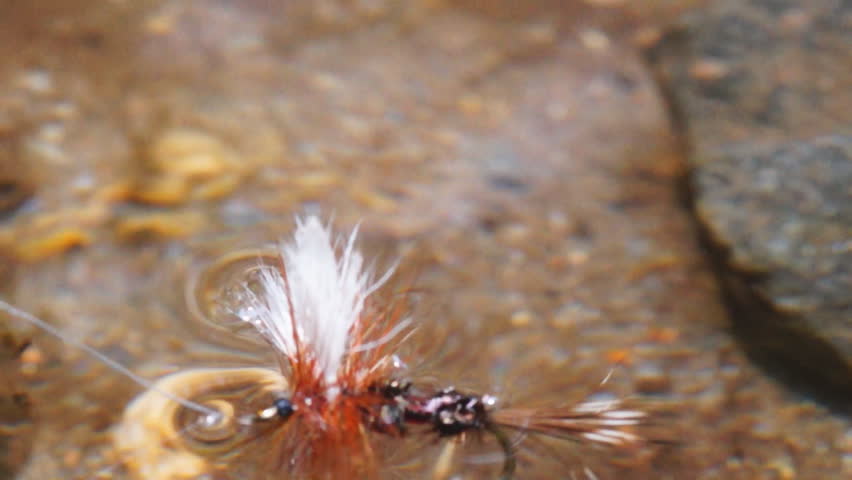 Fly fishing dry fly