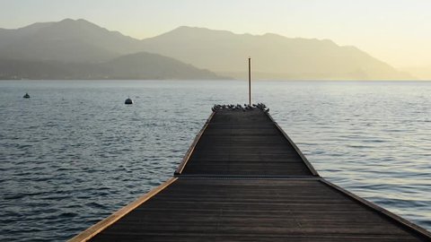 shooting a wooden pier during a winter sunset with seagulls grouped on it and some flying, 
with mountains in the background