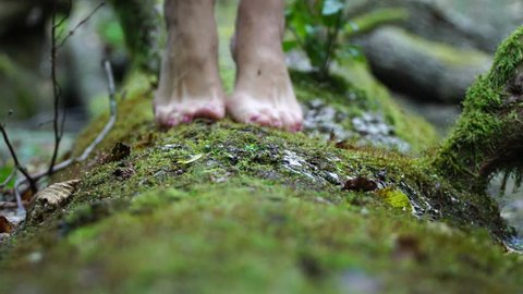 She goes barefoot on the green moss. Beautiful slim legs closeup