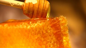Honey dripping from honey dipper on honeycomb, over yellow background. Thick organic honey dipping from the wooden honey spoon. 4K UHD video footage. Ultra high definition 3840X2160