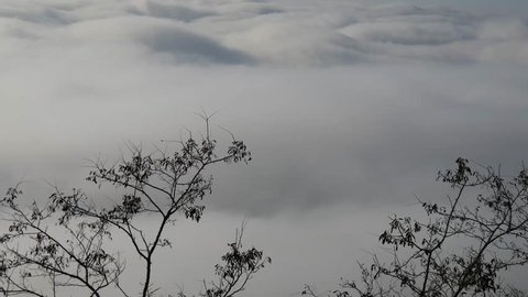 a sea of clouds covering the Po Valley, Lombardy, Italy.   In the foreground branches of trees of a woods.