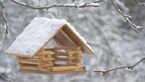 Birds fly up to the feeder and take seeds, snow on trees, falling snowflakes for the birdhouse
