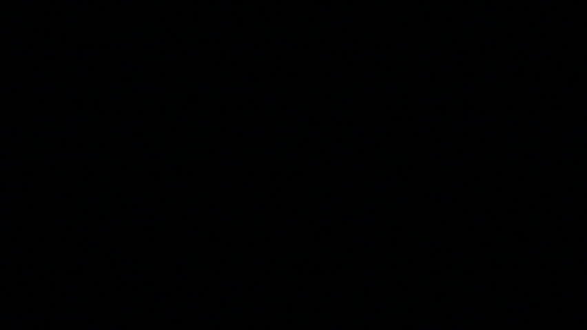 Lighting during a storm in the forest 