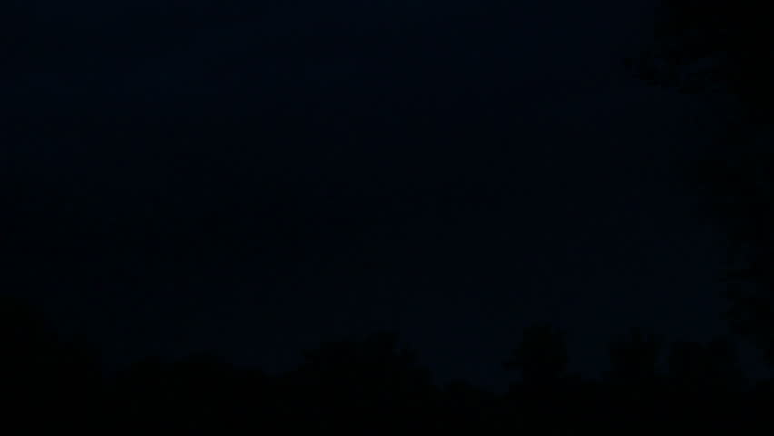 Lighting during a storm in the forest 