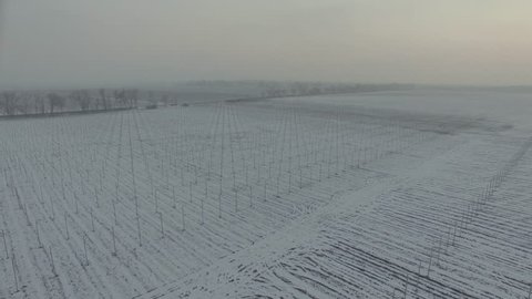 winter field vineyard. Helicopter drone footage. D-Log Flat Video For Editing
