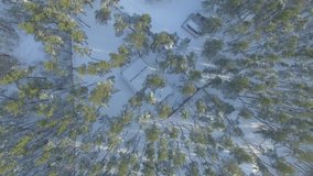 Winter forest, sunny day. Helicopter drone footage.D-Log Flat Video For Editing