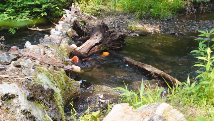 Fallen log over appalachian mountain stream