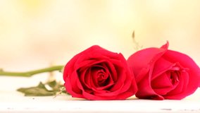 Close up Roses, male hand picked up rose vintage style (Love and Valentine concept) footage