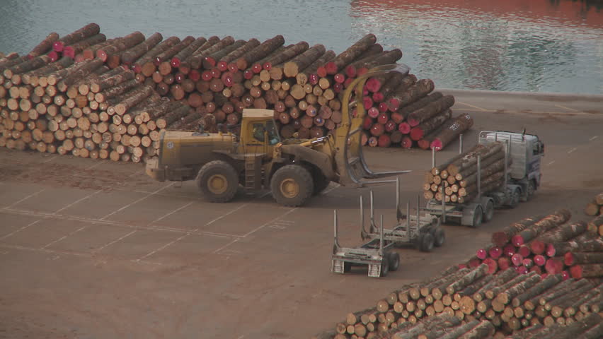 Unloading timber at a Port time lapse