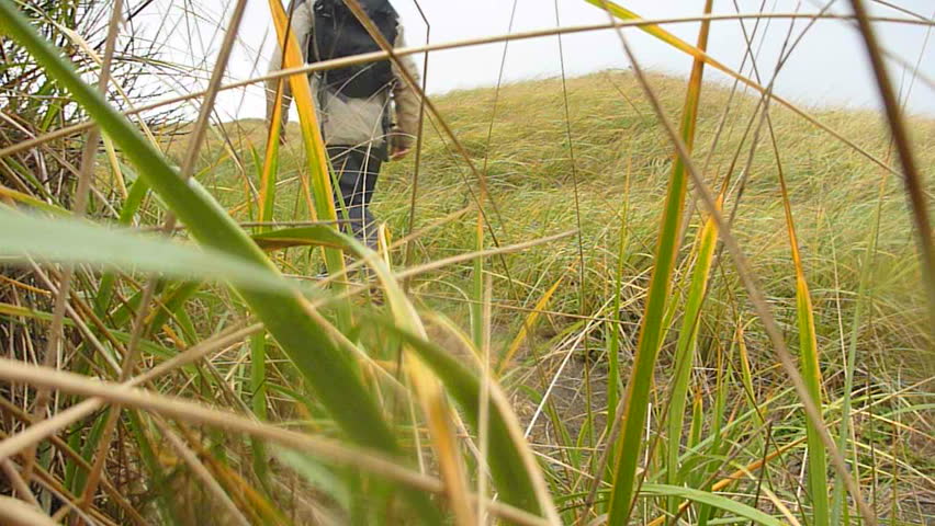 Man walking away from camera on rainy day on grass blown path near Pacific
