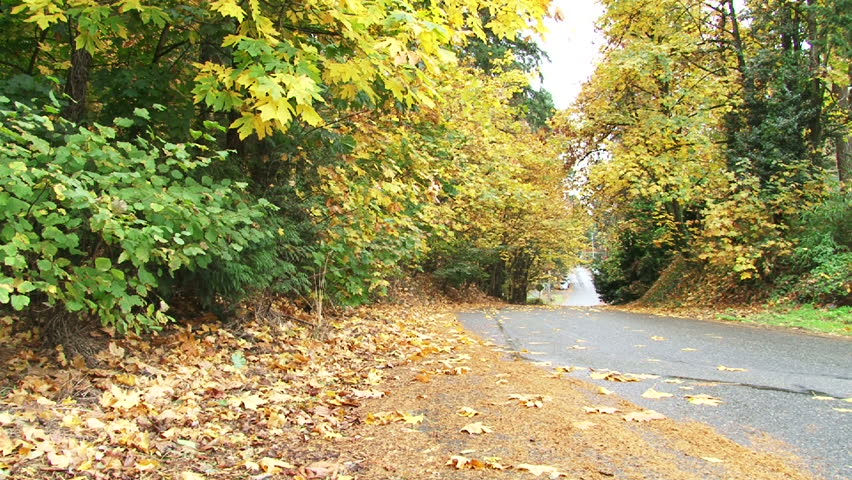 Man walks away, down street full of autumn leaves.