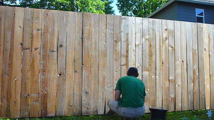 Man in backyard stains cedar fence time lapse.