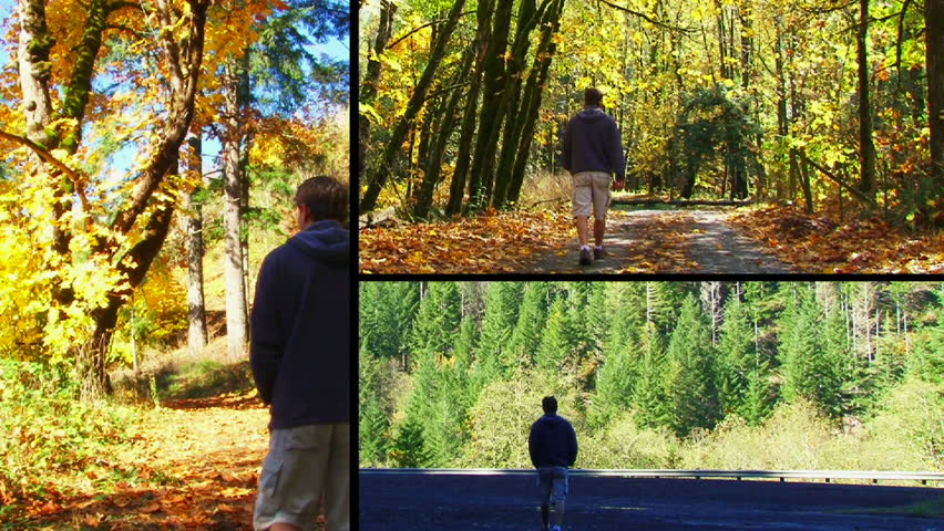 Layered Clip with 3 shots of man walking towards thick forest during Autumn in