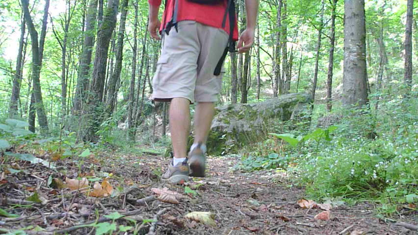 Man hikes away, down path through thick forest in Oregon.