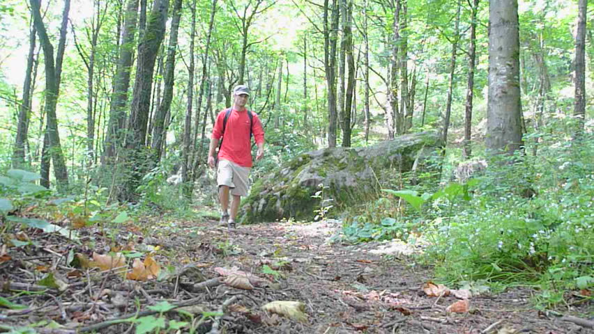 Man hikes toward, up path through thick forest in Oregon.