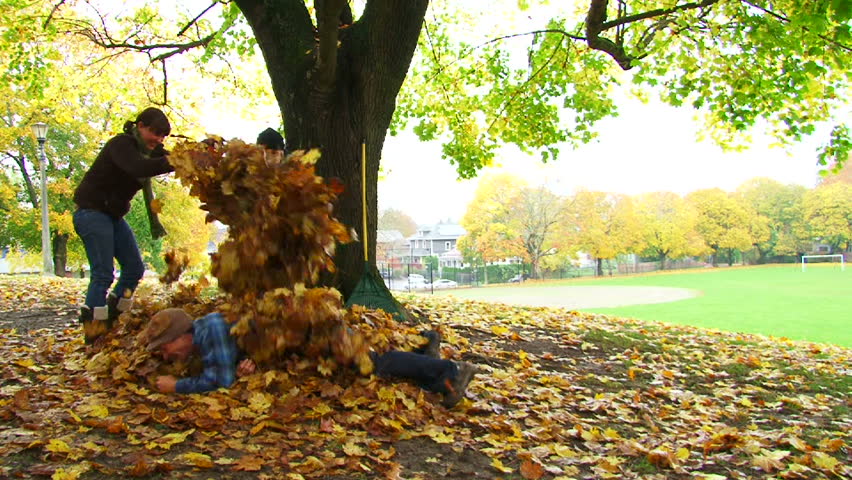 Friends enjoy a fall day by playing in leaf pile as man throws large amounts of