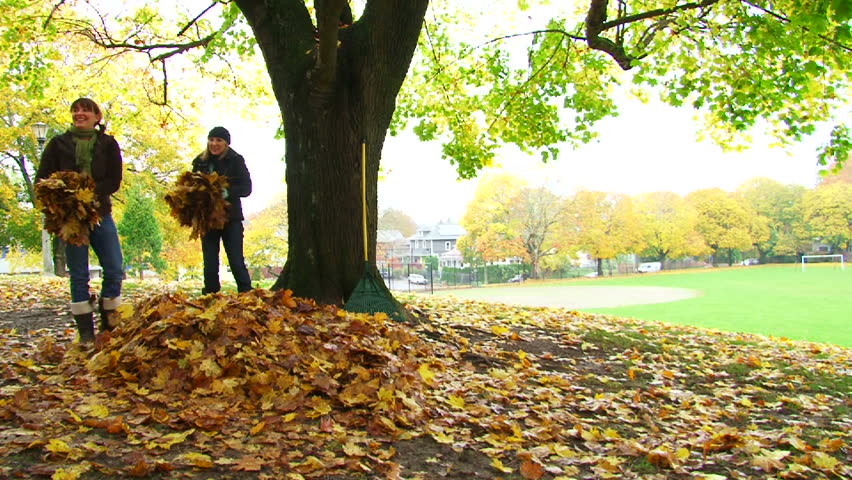 Friends enjoy a fall day by playing in leaf pile as man flips into pile and