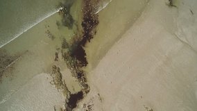 Aerial Drone Shot Of Birds On Shore At Beach
