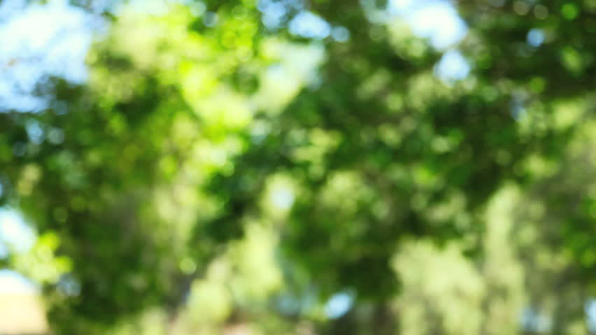 Young woman practicing yoga on the grass in a park surrounded by trees