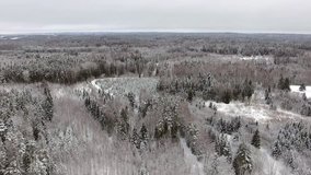 aerial footage of drone flying over frozen forest