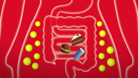 Animation as a drug to help digestion and reduce body weight