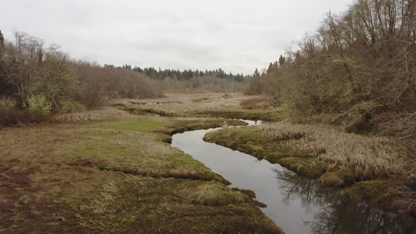 Slow rise up and flight over wetland creek, forest in background, Pacific Northwest, Washington State. Reflection of trees in water. Ungraded 4k video, extended length, good for time lapse.