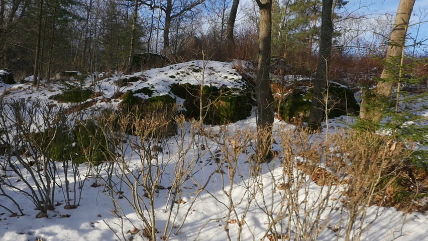Monrepo Park in the winter. Vyborg. Russia.