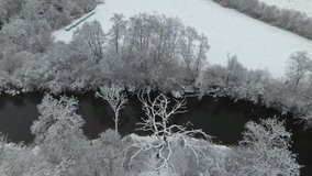 Winter forest and river from the air. Aerial video of winter nature. 