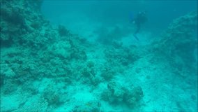 dive in the Red Sea in Egypt, shot on Go Pro camera. Video can be used for video documentaries and advertising. 