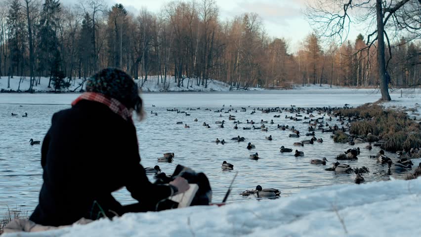 People in the city park at winter season. Young artist painter woman sits on snow lake shore and paints a picture with paints and brush. On the background of water with many birds ducks