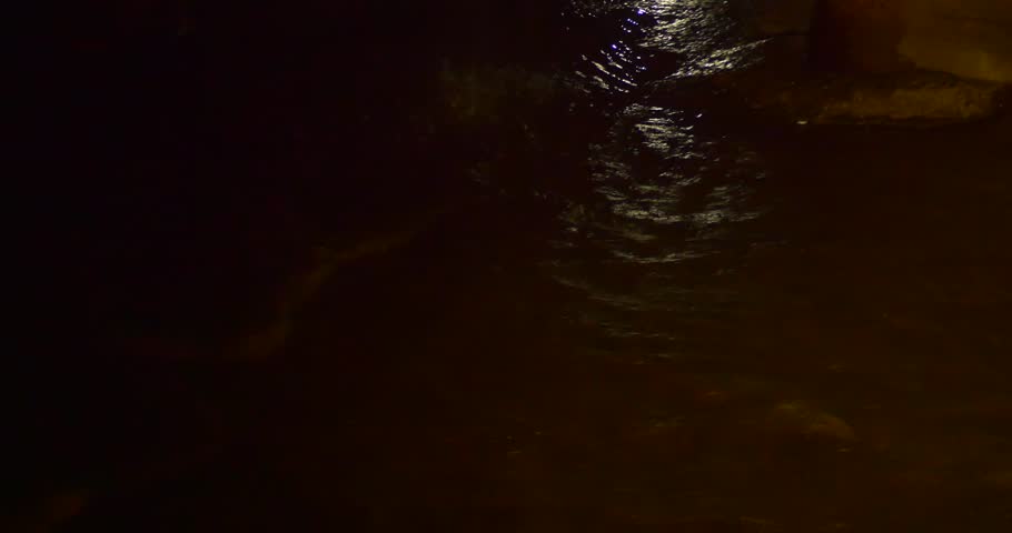 a Tourist of New Year