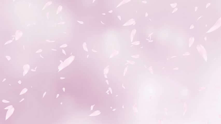 Falling Pink Rose Petals or Stock Footage Video (100% Royalty-free