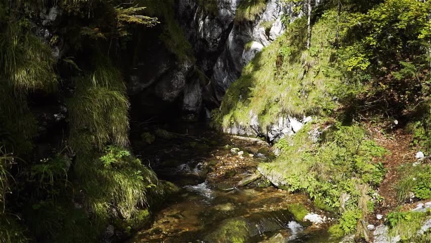 creek in the alps