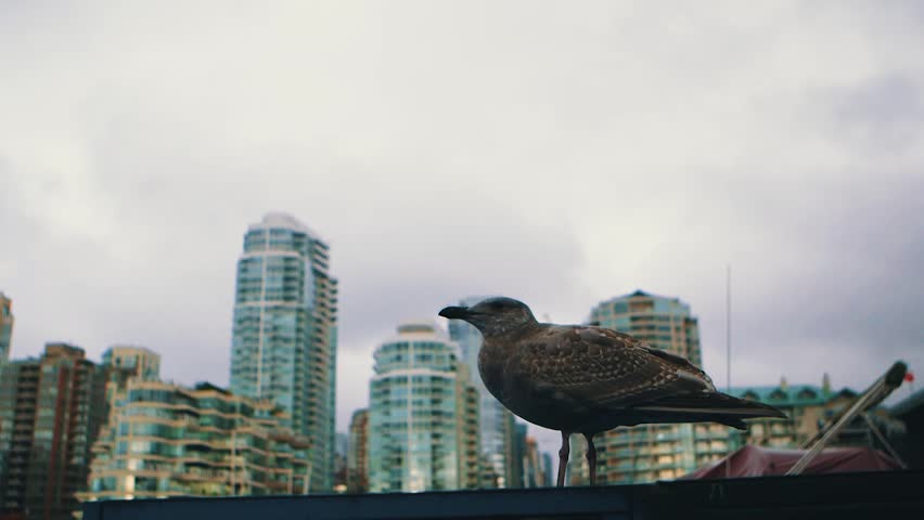 Vancouver beautiful city