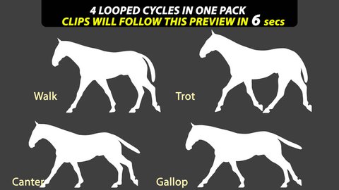 Pack of four Animated Horse cycles in silhouette.  Walk, Trot, Canter & Run. First 6 secs is just a preview! Separate main long clips all follow, all perfectly looped for making longer, Includes alpha