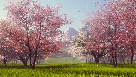 Pink petals falling from flowering sakura cherry trees on fresh grass in slow motion and mount Fuji in the distance. Spring scenery 3D animation rendered in 4K