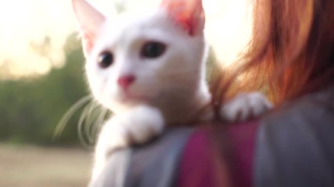 Slow motion : Woman were holding a  white cat on her shoulder  in the morning