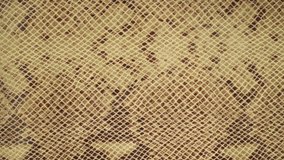 Texture genuine leather close up, embossed under skin sand python, background. Dolly Right Left