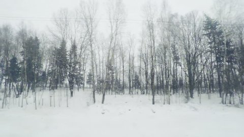 View from the train window to the winter landscape.