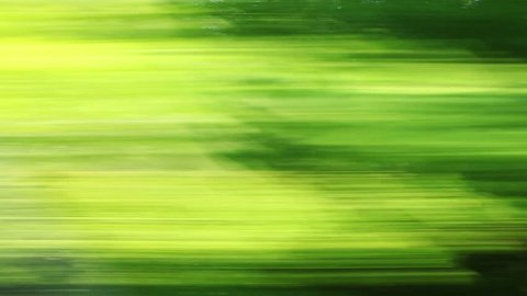 Car speeding on a road through green forest - side window blurred motion view