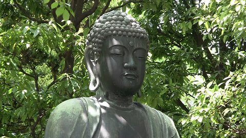 Buddha meditating (closeup)