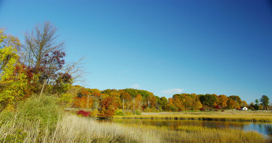 Swamps and marshes during fall time in Branford, Connecticut.