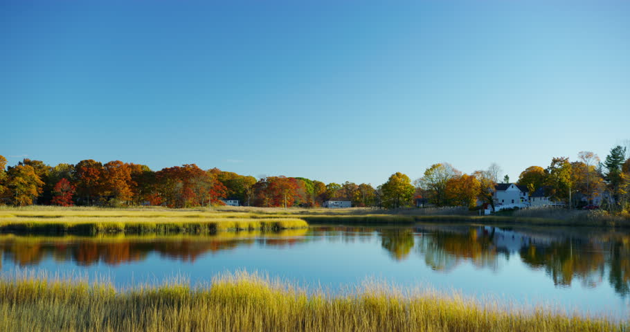 Swamps and marshes during fall time in Branford, Connecticut.