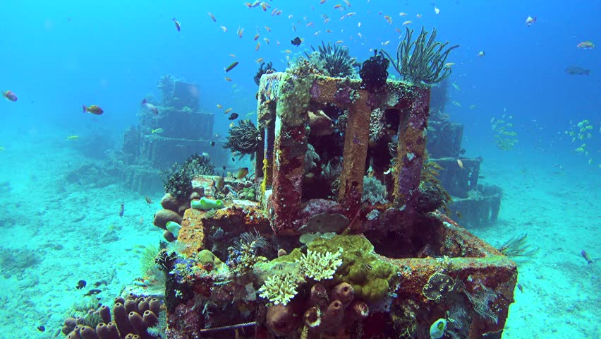 Artificial Reef Made of Concrete Stock Footage Video (100% Royalty-free