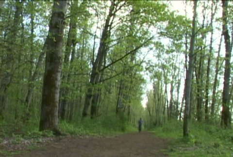 Man runs towards camera in lush Oregon Forest.