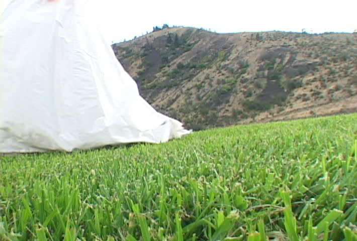 Bride walks in wedding dress through Washington State Valley.