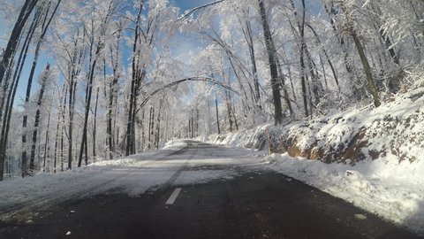 Driving on a road surrounded by snowy trees