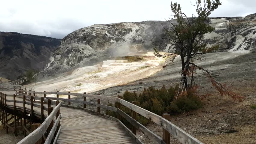 Walking down from the top of mammoth hot springs and geyser, in Yellowstone national park, in Wyoming, United states of america.