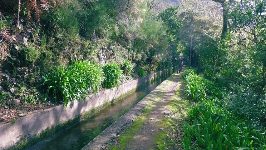 Tourists Walking on Hiking Pathway Levada Waterway, Madeira Portugal.