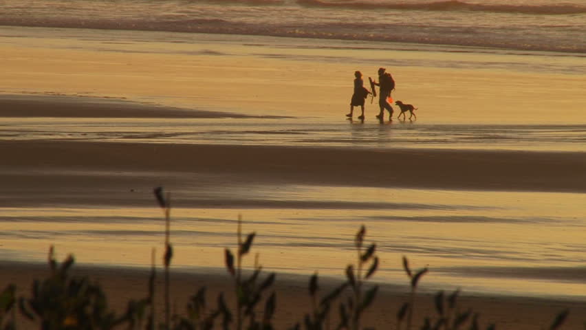 Man and woman walking during sunset at beach with their dog.